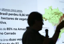 Brasil já perdeu 33% das áreas naturais de seu território, mostra levantamento da MapBiomas