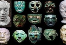 Sociedade dos psicodivergentes (Leva o bandido pra casa)