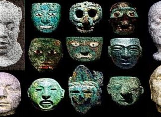 Sociedade dos psicodivergentes (Leva o bandido pra casa)