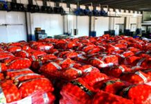 Grupo DB inaugura centro que eleva a qualidade do hortifruti em Manaus