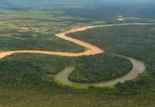 Regularidade da apreciação e julgamento das contas de 2020 da Prefeitura de Guajará sob investigação